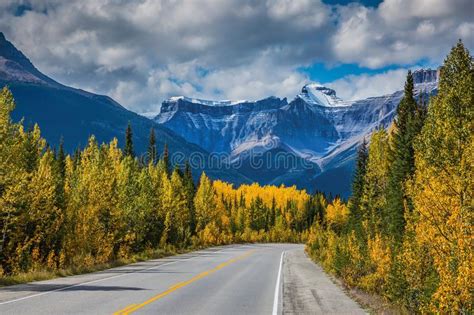 Majestic Mountains And Glaciers Stock Image Image Of Birch Tourism
