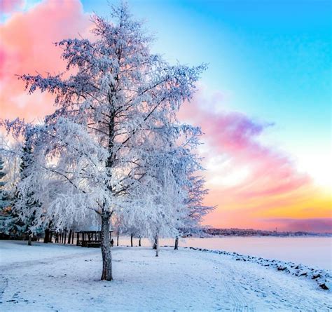 435 Best Winter Wonderland Images On Pinterest Candy