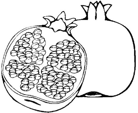 Pomegranate Coloring Pages Coloring Home