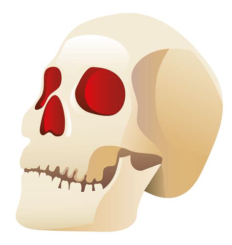 Human Skull Clipart 2 Wikiclipart