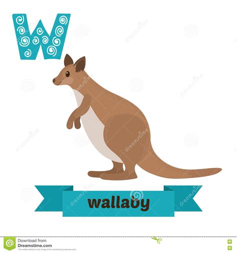 Wallaby Letra De W Alfabeto Animal Das Crianças Bonitos No Vetor Funn