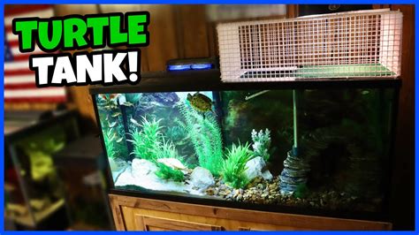 Setting Up A 55 Gallon Turtle Tank Youtube