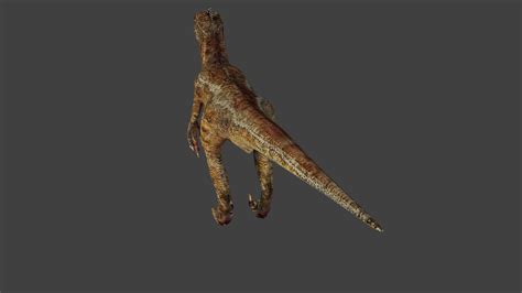Velociraptor Free Vr Ar Low Poly 3d Model Rigged Cgtrader