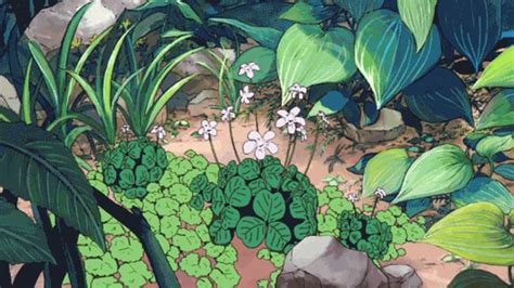 Ingredient Love Centella Asiatica Cica Anime Plants Green Anime