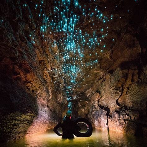 ニュージーランド写真家、土ホタルの洞窟の奇観を撮影中国網日本語