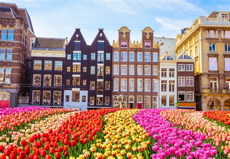 Amsterdam Cosa Fare E Vedere Nella Capitale Dell Olanda