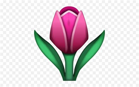 Tulip Emoji Icon Tulip Emoji Pngflower Emojis Free Transparent