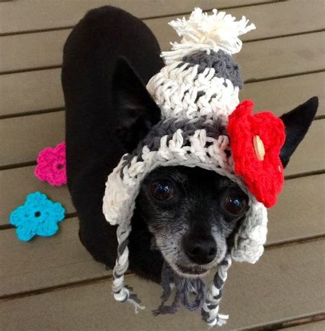 Crochet Hat For Dogs Small Dog Clothing Chihuahua Hats Etsy Dog Hat