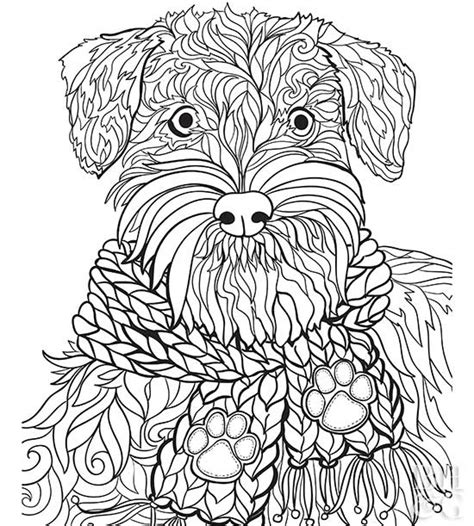 Even if you don't have one of your own. Pet Coloring Pages | Better Homes & Gardens