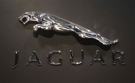 A great logo shows the world what you stand for, makes people remember your brand, and helps potential customers understand if your product is right for them. LOGO Jaguar HD Wallpaper - 9to5 Car Wallpapers