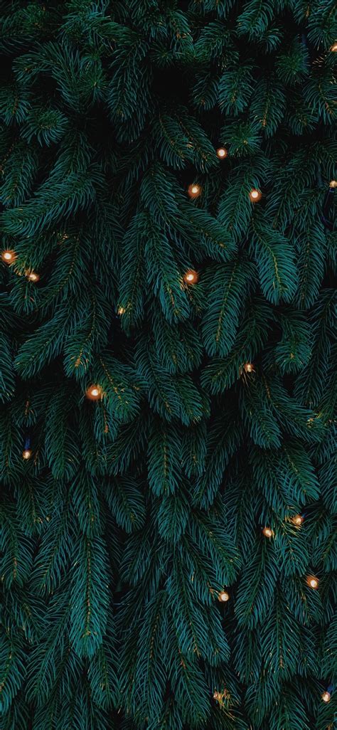 Green Christmas Tree With Lights Iphone X Wallpapers Free Download