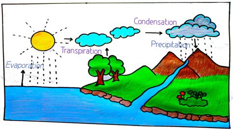 How To Draw Water Cycle Step By Step Design Talk