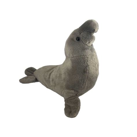 We did not find results for: Large Elephant Seal Plush | Friends of the Elephant Seal