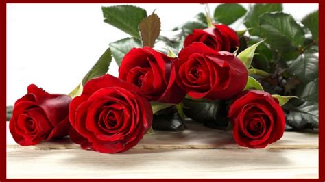 Download Happy Valentines Day 2019 Red Rose Wallpaper