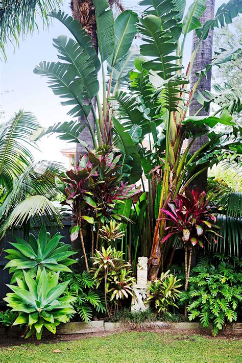 Tropical Backyard Landscaping Tropical Garden Design Florida