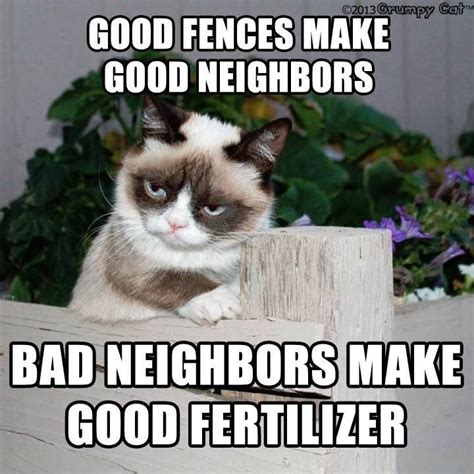 Bad Neighbor Funny Grumpy Cat Memes Grumpy Cat Humor Grumpy Cat Quotes
