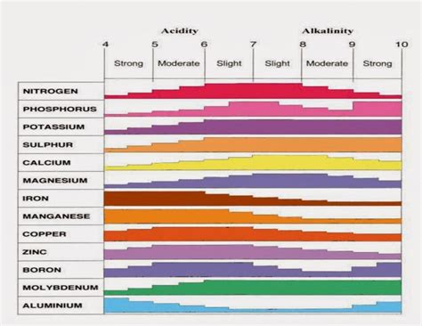 Tout Savoir Sur Les Nitrates Et Les Nitrites En Aquaponie Aquaponie