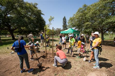 Tree Planting Event Balboa Park Conservancy