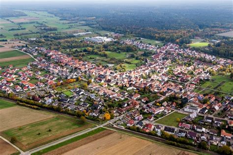 Luftaufnahme W Rth Am Rhein Ortsansicht Im Ortsteil Schaidt In W Rth