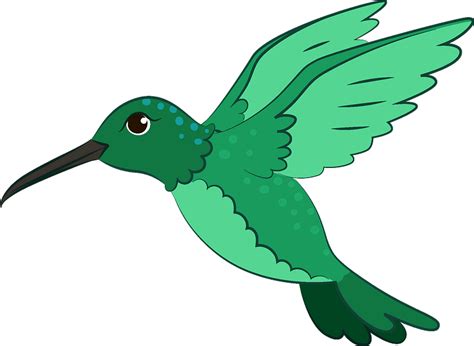 Hummingbird Clipart Free Download Transparent Png Creazilla