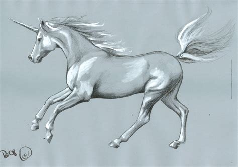 The Mystery Of Unicorn Myths