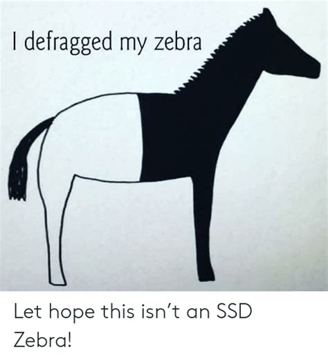 I Defragged My Zebra Let Hope This Isnt An Ssd Zebra Hope Meme On Meme