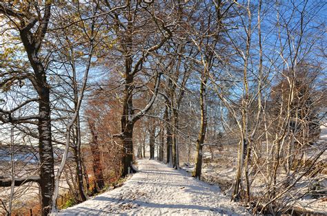 Winter Woodland Walk Photo And Image Landscape Forest Nature Images