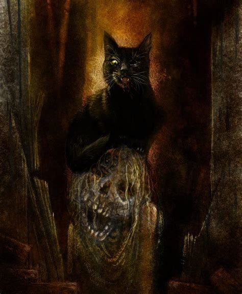 Ipoecollection Edgar Allan Poes The Black Cat By Kevin Nichols