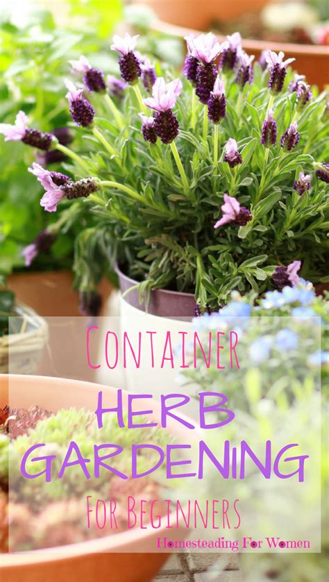 Container Herb Gardening For Beginners Container Herb Garden Gardening For Beginners Indoor
