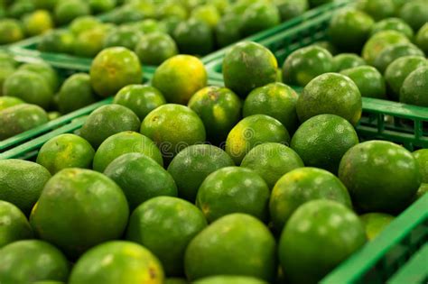 Bunch Of Fresh Green Mandarin In The Organic Food Market Tropical Bali