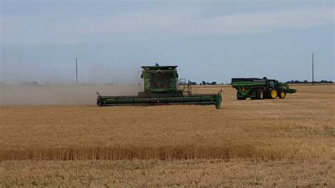 Texas Panhandle Wheat Harvest Begins Youtube