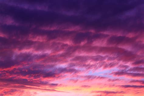 The Sunset Turns The Cloudy Sky Purple And Pink At Bondi Beach Purple And Pink Cloudy Sky 4k Hd