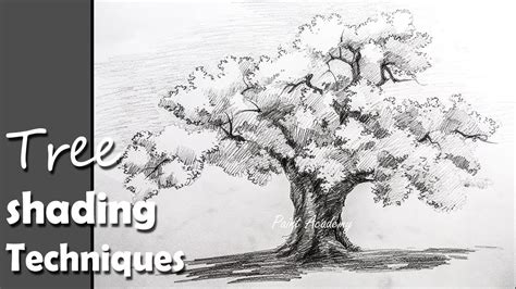 How To Draw Trees With Pencil Shading Maikensmat