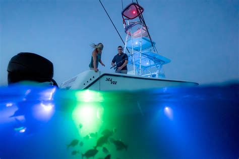 Best Underwater Boat Lights For Fishing Unique Fish Photo