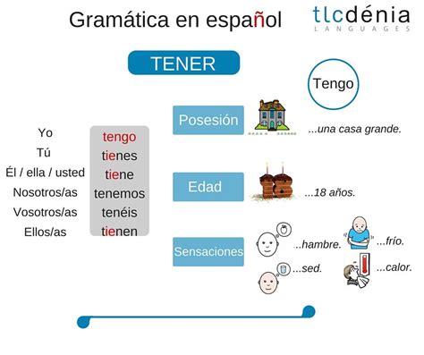 Gramática En Español Verbo Tener Spanish Grammar Verb To Have