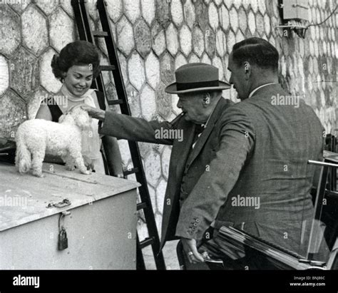 Dog Of Winston Churchill Fotos Und Bildmaterial In Hoher Auflösung