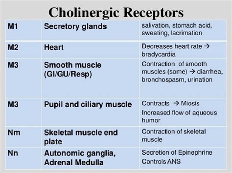 Clinical Pharmacology A N S Part Ii Cholinomimetic