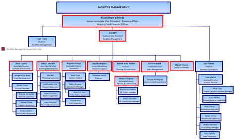 Simple Management Organization Chart