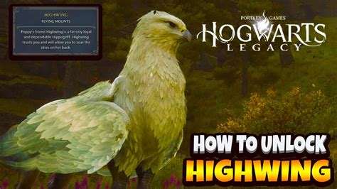 Hogwarts Legacy How To Unlock Hippogriff Flying Mount Hogwarts Legacy