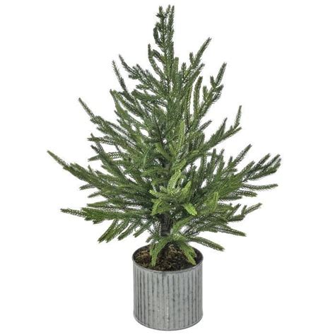 28 Potted Norfolk Pine Tree Galvanized Pot Mtx63873 In 2021 Norfolk
