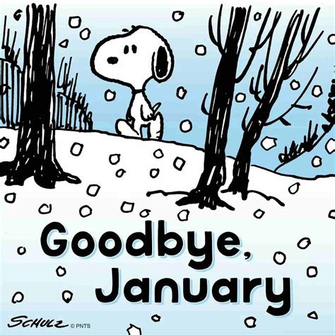 Hello And Wishes For A Great February Snoopy Snoopy Love