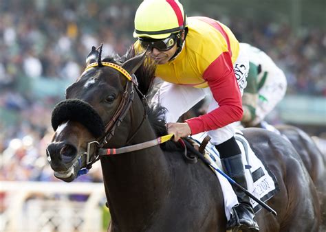 When is the 2020 kentucky derby: 2016 Kentucky Derby contenders - Baltimore Sun