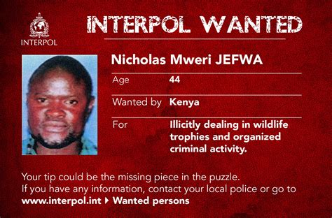 Interpol Makes Public Appeal To Help Track Environmental Fugitives