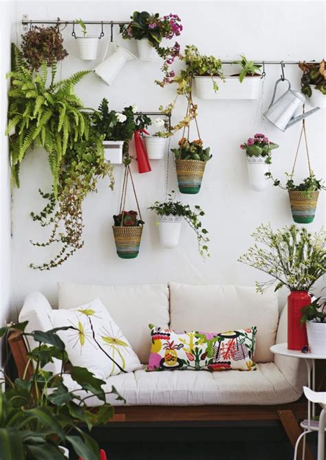 Ver más ideas sobre plantas colgantes, plantas, jardines. Plantas colgantes para interior - El Blog del Decorador en 2020 | Decorar balcon pequeño, Balcon ...