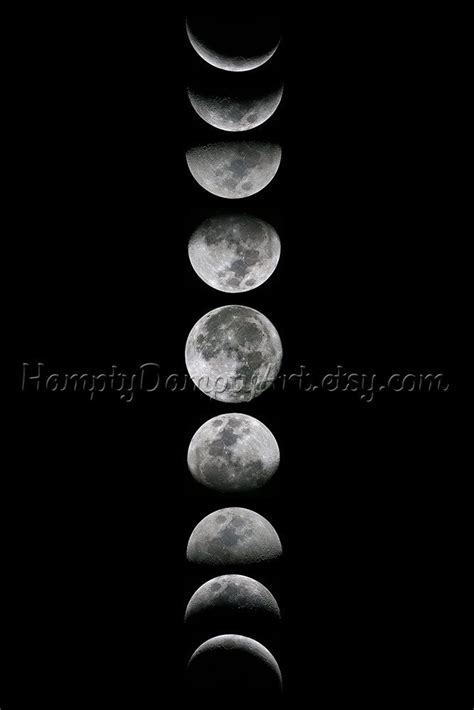 Giant Moon Phases Poster Moon Art Print Black And White Moon Phase