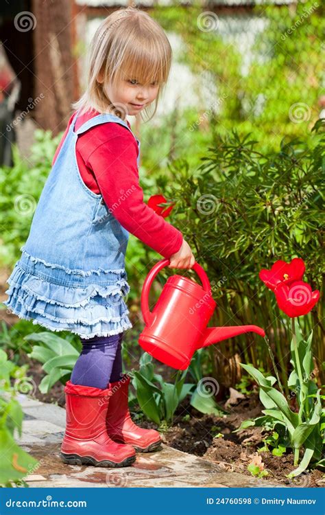 Girl With Watering Can Stock Photo Image Of Conservation 24760598