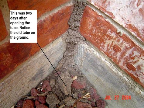 Hi, this is jim reynolds from sniper termite and pest control. Home Termite Inspections | Dallas-Fort Worth Real Estate ...