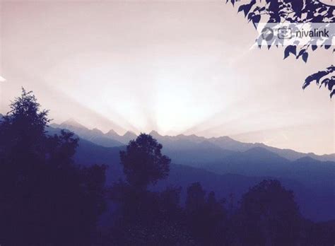 The Himalayan Glamping Retreat Munsiyari Uttarakhand