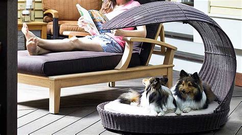 This outdoor bed for dogs offers supreme comfort to your dog. 11 Best Outdoor Dog Beds - Outdoor Dog World