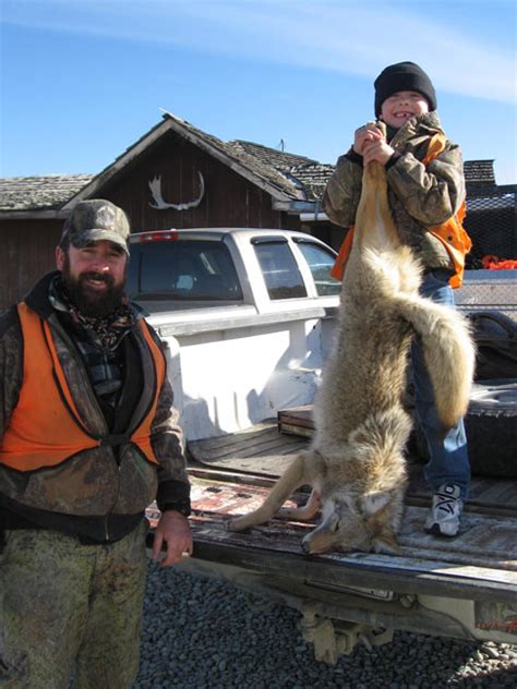 Varmint Hunts Montana Lone Wolf Guide Service